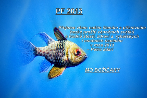pf-mobozicany